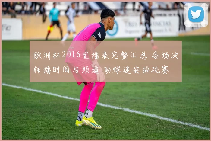 欧洲杯2016直播表完整汇总 各场次转播时间与频道 助球迷安排观赛