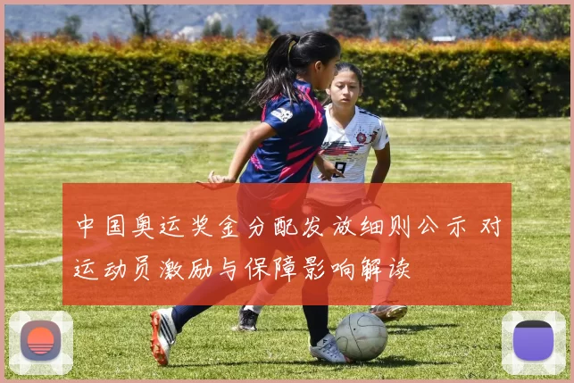中国奥运奖金分配发放细则公示 对运动员激励与保障影响解读