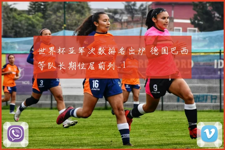 世界杯亚军次数排名出炉 德国巴西等队长期位居前列_1