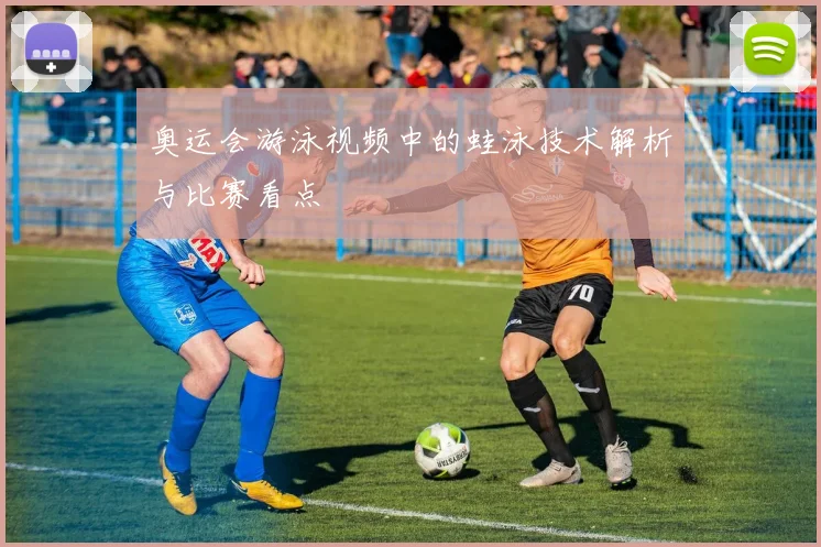奥运会游泳视频中的蛙泳技术解析与比赛看点